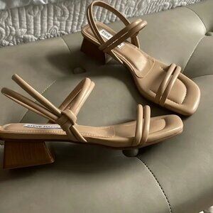 Steve Madden shoes